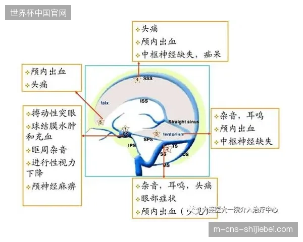 区域医疗救援介入机制为何能缩短世界杯赛事急救链路